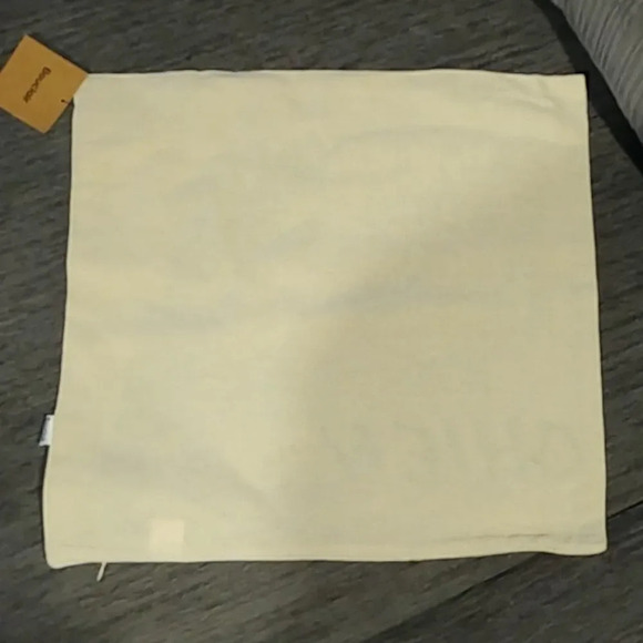 Cute Dog/Puppy  Pillow Cover 18x18in - French - Picture 2 of 7